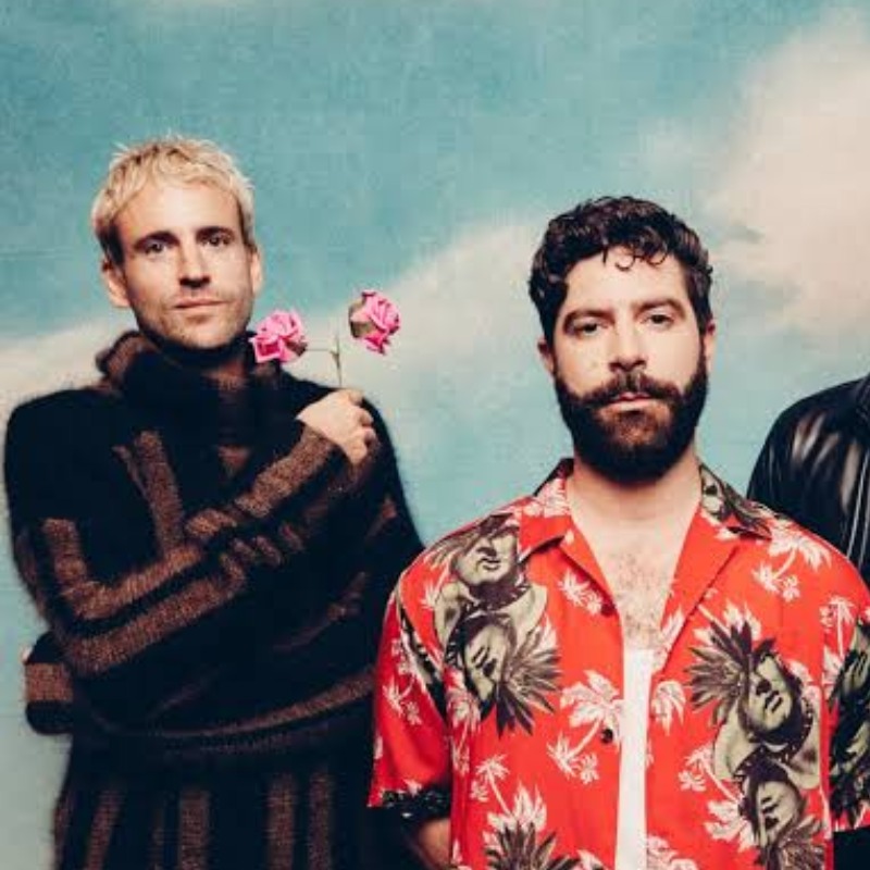Foals