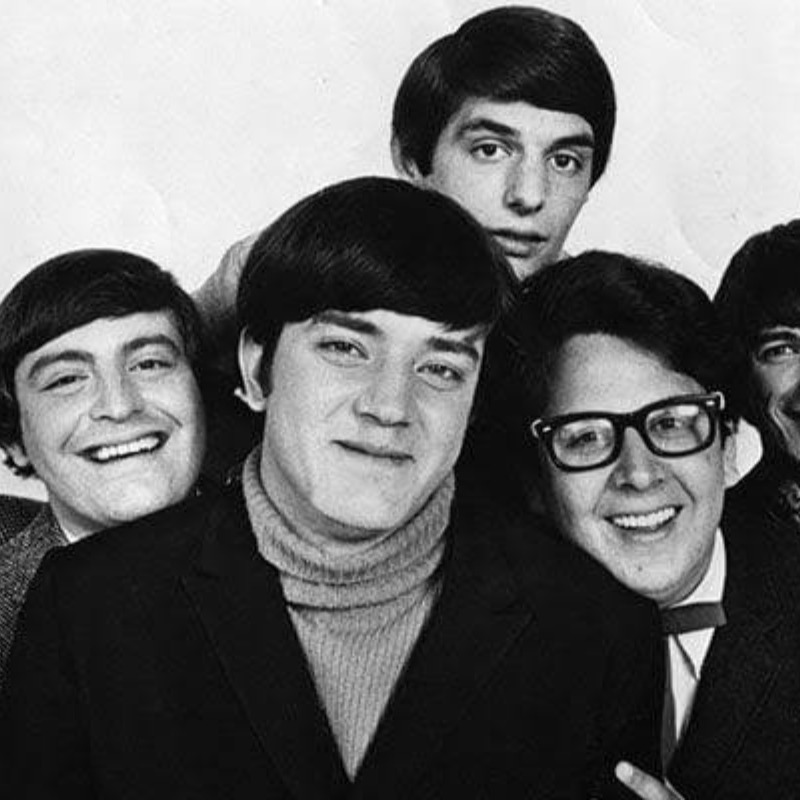 The Turtles